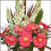 Love Basket - Click here to View more details about this Product